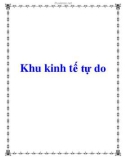 Khu kinh tế tự do