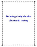 Đo lường và dự báo nhu cầu của thị trường