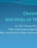 Bài giảng Thương mại điện tử: Chương 1 - ThS. Trương Việt Phương