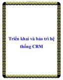 Triển khai và bảo trì hệ thống CRM