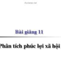 Bài giảng Kinh tế học vi mô dành cho chính sách công: Bài 11 - Phân tích phúc lợi xã hội (2021)