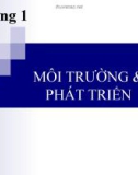 Bài giảng Kinh tế môi trường: Chương 1 - Ngô Văn Mẫn