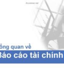 Chương 1 - Báo cáo tài chính