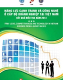 Báo cáo Năng lực cạnh trạnh và công nghiệ ở cấp độ doanh nghiệp tại Việt Nam – kết quả điều tra năm 2013