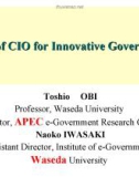 Roles of CIO for Innovative Government