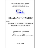 Khóa luận tốt nghiệp: Pháp luật về quảng cáo của Việt Nam một số bất cập và giải pháp