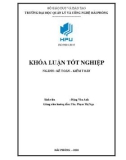 Khóa luận tốt nghiệp Kế toán – Kiểm toán: Hoàn thiện công tác kế toán nguyên vật liệu tại Công ty cổ phần Thịnh Lợi