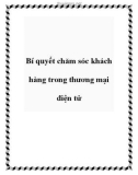 Bí quyết chăm sóc khách hàng trong thương mại điện tử