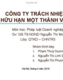 Bài tập nhóm: Công ty trách nhiệm hữu hạn một thành viên