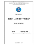 Đồ án tốt nghiệp ngành Kỹ thuật môi trường: Nghiên cứu đánh giá một số tác động chính tới môi trường của dự án sản xuất đồ gỗ