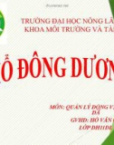 Bài thuyết trình môn quản lý động vật hoang dã: Hổ Đông Dương