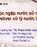 Bài thuyết trình: Bãi lọc ngập nước sử dụng cỏ Vetiver xử lý nước thải