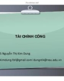 Bài giảng Tài chính công: Chương 1 - ThS. Nguyễn Thị Kim Dung