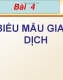 Bài giảng Thị trường chứng khoán ảo: Bài 4 - ThS. Nguyễn Phúc Khoa