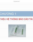 Bài giảng Phân tích báo cáo tài chính – Chương 1: Giới thiệu hệ thống báo cáo tài chính (mđ)