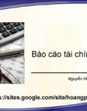 Bài giảng Báo cáo tài chính - Nguyễn Hoàng Phi Nam