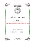 Tiểu luận: Phân tích nhu cầu tài trợ vốn tại Công ty cổ phần Phát triển Nhà và Sản xuất Vật liệu Xây dựng Chí Linh