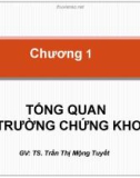 Bài giảng Thị trường chứng khoán: Chương 1 - TS. Trần Thị Mộng Tuyết