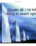 Chuyên đề 1: Hệ thống thông tin doanh nghiệp - Nguyễn Bích Liên