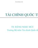 Bài giảng Thanh toán quốc tế (TS.Đặng Ngọc Đức) - Chương 1: Giới thiệu chung về môn học