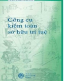 Kiểm toán sở hữu trí tuệ và công cụ: Phần 1