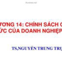 Bài giảng Chương 14: Chính sách cổ tức của doanh nghiệp - TS. Nguyễn Trung Trực