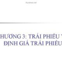 Bài giảng Thị trường chứng khoán: Chương 3 - Ths. Nguyễn Thị Ngọc Lan