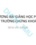 Bài giảng Thị trường chứng khoán - ĐH Thương Mại