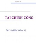 Bài giảng Tài chính tiền tệ: Chương 3 - Diệp Gia Luật