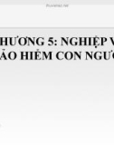 CHƯƠNG 5: NGHIỆP VỤ BẢO HIỂM CON NGƯỜI