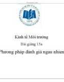 Bài giảng Kinh tế Môi trường: Bài giảng 15a