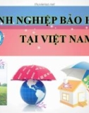 DOANH NGHIỆP BẢO HIỂM TẠI VIỆT NAM