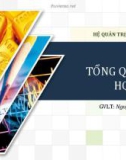 Bài giảng Hệ quản trị cơ sở dữ liệu: Chương 1 - Nguyễn Trường Sơn