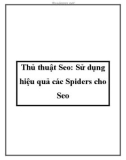 Thủ thuật Seo: Sử dụng hiệu quả các Spiders cho Seo