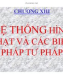 Bài giảng Luật Hình sự Việt Nam: Chương XIII - ThS. Trần Đức Thìn