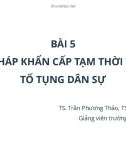 Bài giảng Luật Tố tụng dân sự: Bài 5 - TS. Trần Phương Thảo