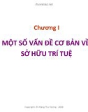 Chương I - Một số vấn đề cơ bản về sở hữu trí tuệ