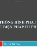 Bài giảng Luật Hình sự: Bài 13 - ThS. Vũ Thị Thúy