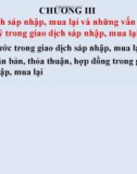 Bài giảng Pháp luật về sáp nhập, mua lại doanh nghiệp: Chương 3 - TS. Phạm Trí Hùng