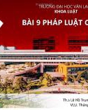 Bài giảng Pháp luật đại cương: Bài 8 - Trường ĐH Văn Lang