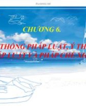 Bài giảng Pháp luật đại cương: Chương 6 - ĐH Kinh tế Đà Nẵng