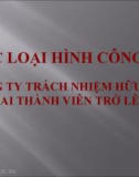 Công ty trách nhiệm hữu hạn hai thành viên trở lên