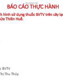 Báo cáo thực hành: Điều tra tình hình sử dụng thuốc BVTV trên cây lạc, đậu đỗ tại huyện Hương Trà, tỉnh Thừa Thiên Huế