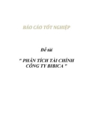 Báo cáo tốt nghiệp: Phân tích tài chính công ty BiBiCa