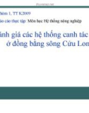 Báo cáo thực tập: Đánh giá các hệ thống canh tác chính ở đồng bằng sông Cửu Long