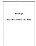 Tiểu luận: Phân tích kinh tế Việt Nam