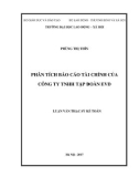 Luận văn Thạc sĩ: Phân tích báo cáo tài chính của công ty TNHH tập đoàn EVD