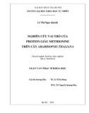 Luận văn Thạc sĩ Khoa học: Nghiên cứu vai trò của protein giàu methionine trên cây Arabidopsis thaliana