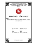 Khóa luận tốt nghiệp: Kinh nghiệm M&A của Trung Quốc và bài học cho Việt Nam