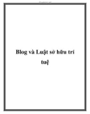 Blog và Luật sở hữu trí tuệ